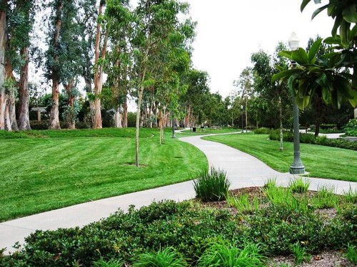Northpark home, Irvine real estate, Orange County realty, OC Realtor, real estate in Orange County, Northwood agent